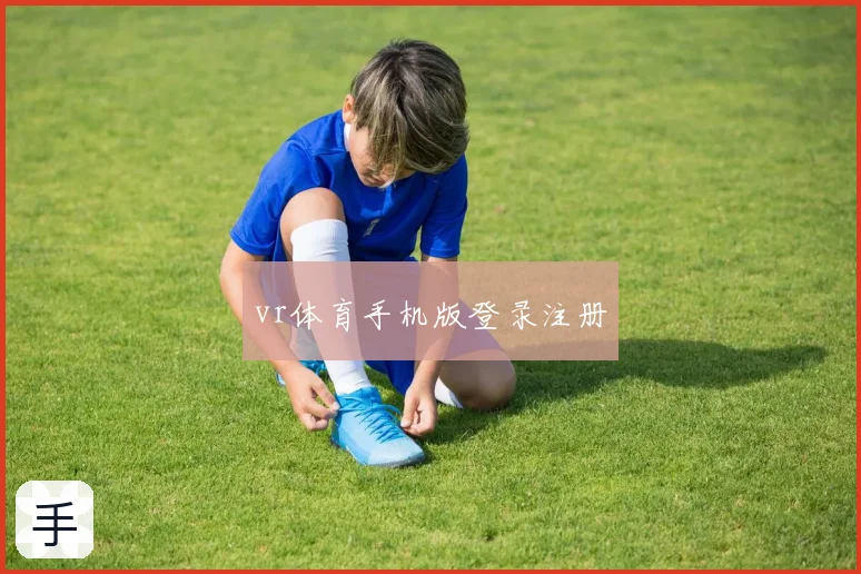 vr体育手机版登录注册